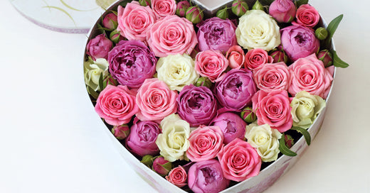 Die Rose symbolisiert die Liebe